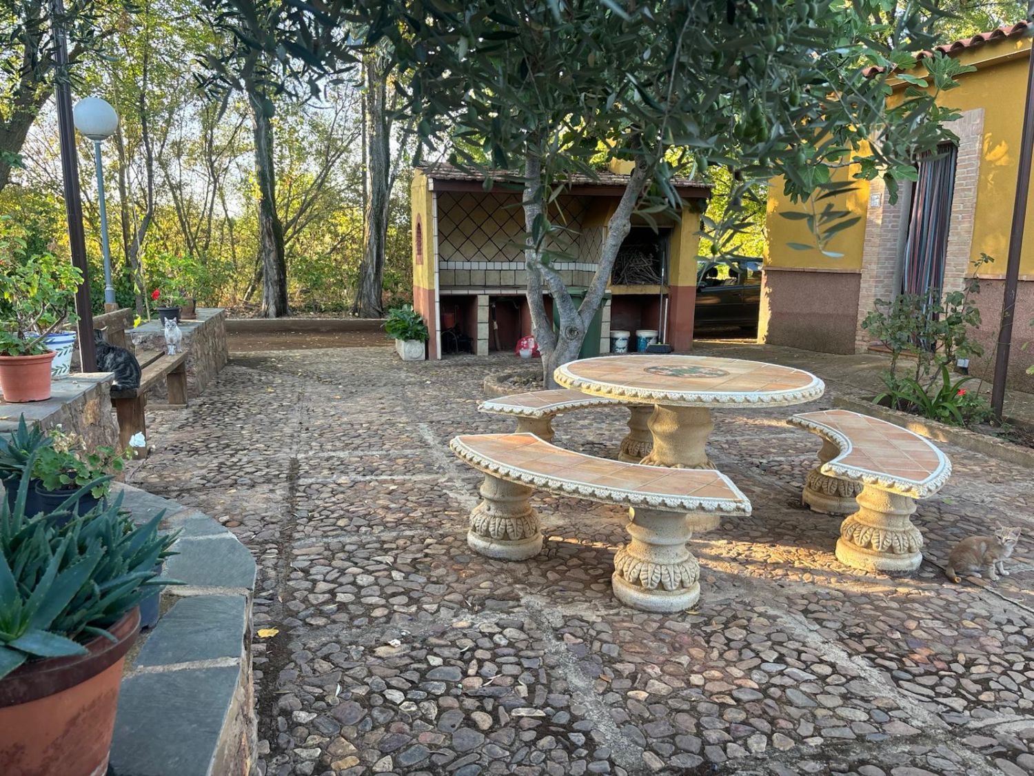Terrasse von Residential zum verkauf in Malagón