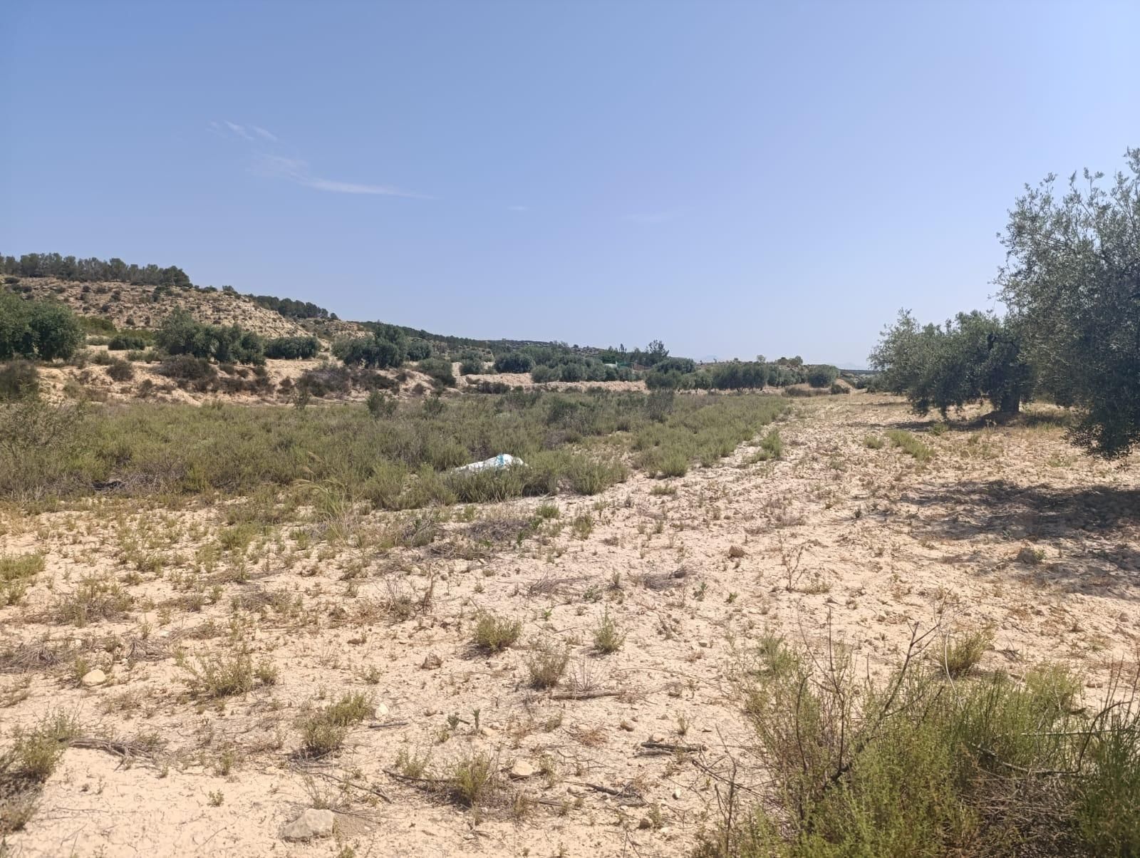 Residencial en venta en Albudeite