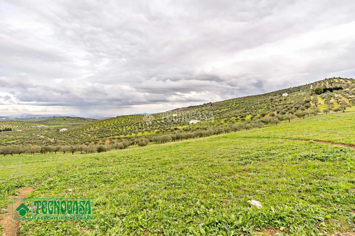 Rural land for sale in Alozaina, imagen 2