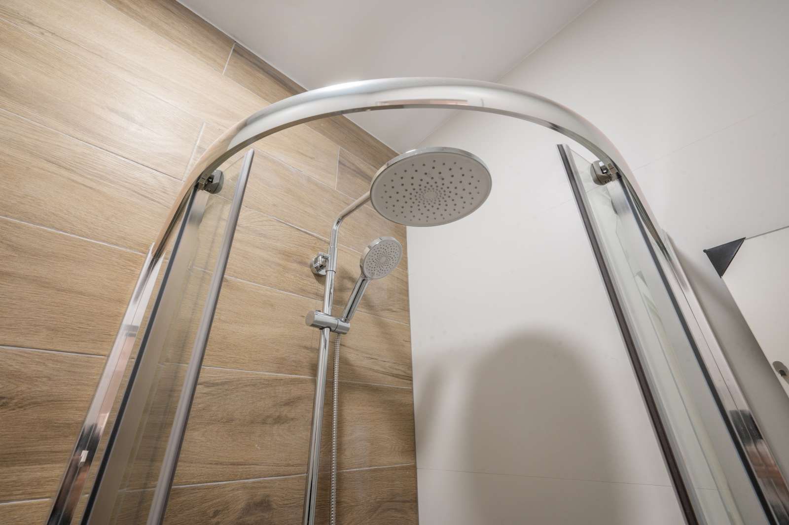 Study for share in Buena Vista