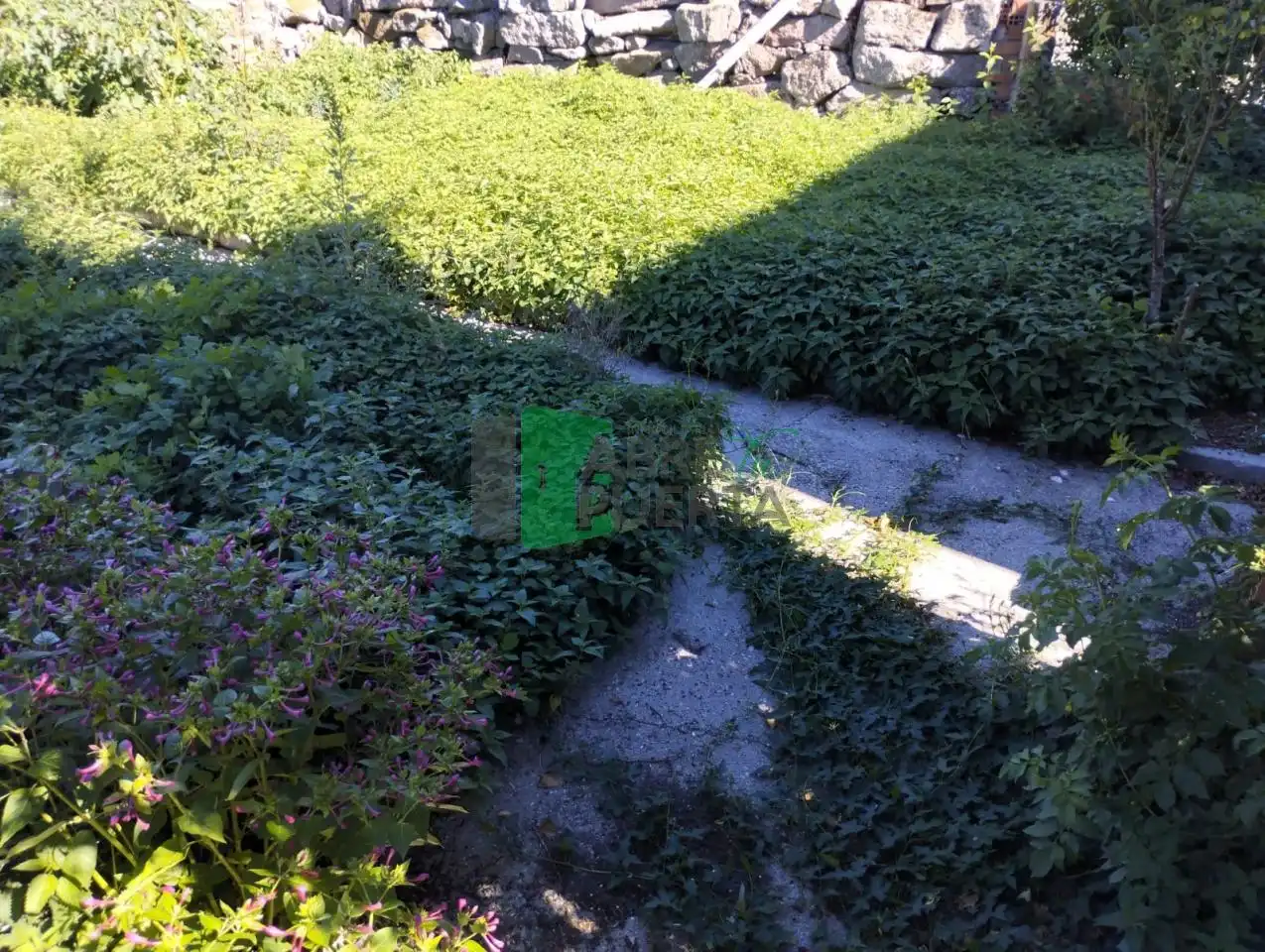 Maison avec jardin à vendre à Esgos, imagen 47