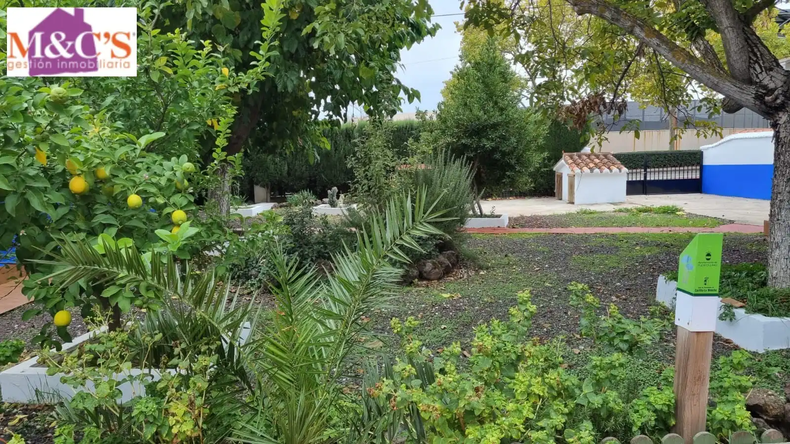 Jardí de Casa o xalet en venda en Puertollano amb Aire condicionat, Calefacció i Jardí privat