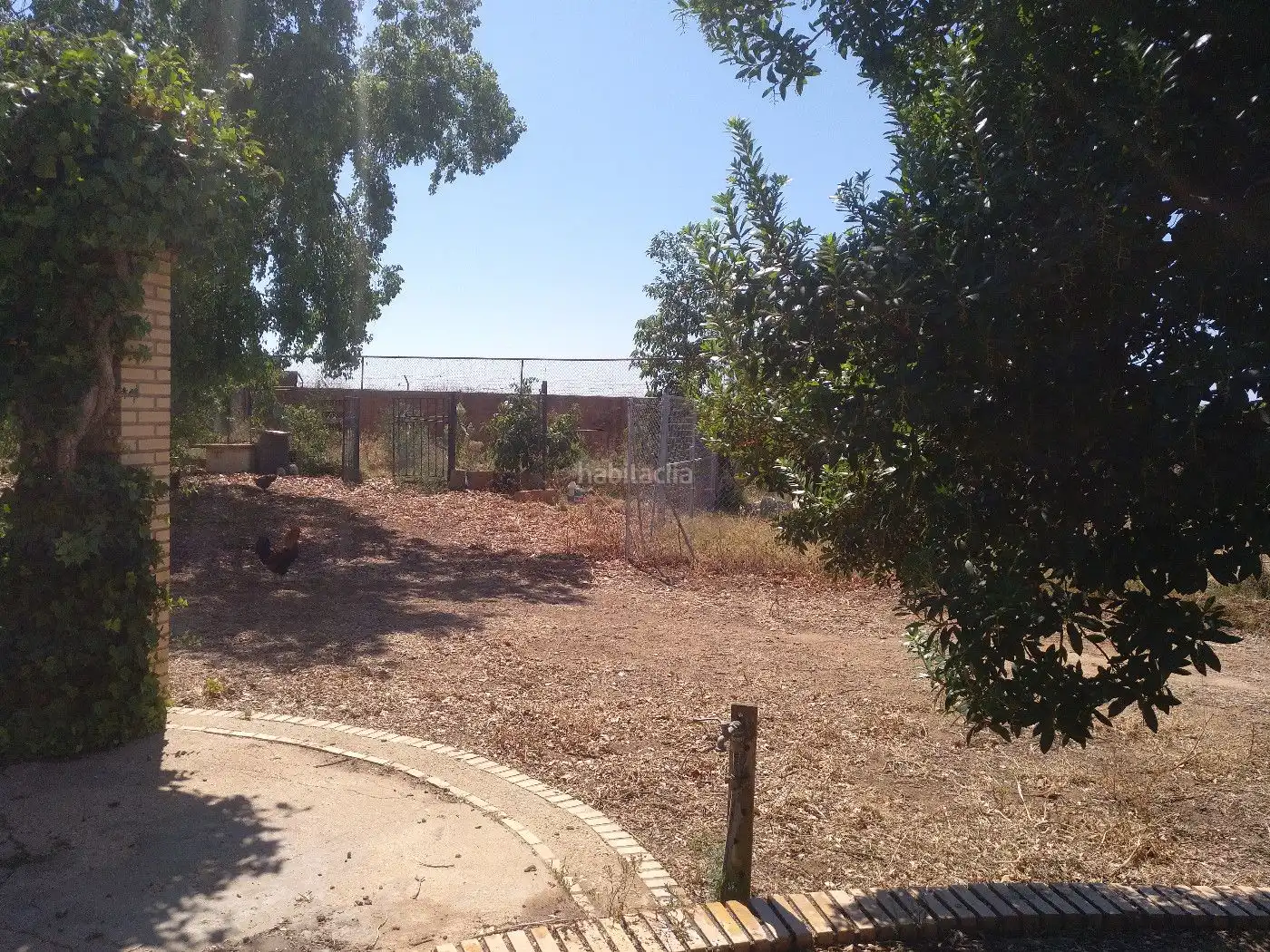Terrenos y solares en venta en Finca la Calvilla 8, imagen 3