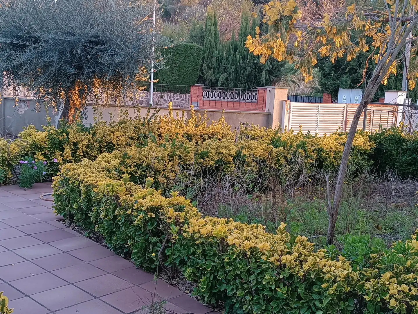 Jardí de Casa o xalet en venda en Caldes de Montbui amb Calefacció, Terrassa i Traster