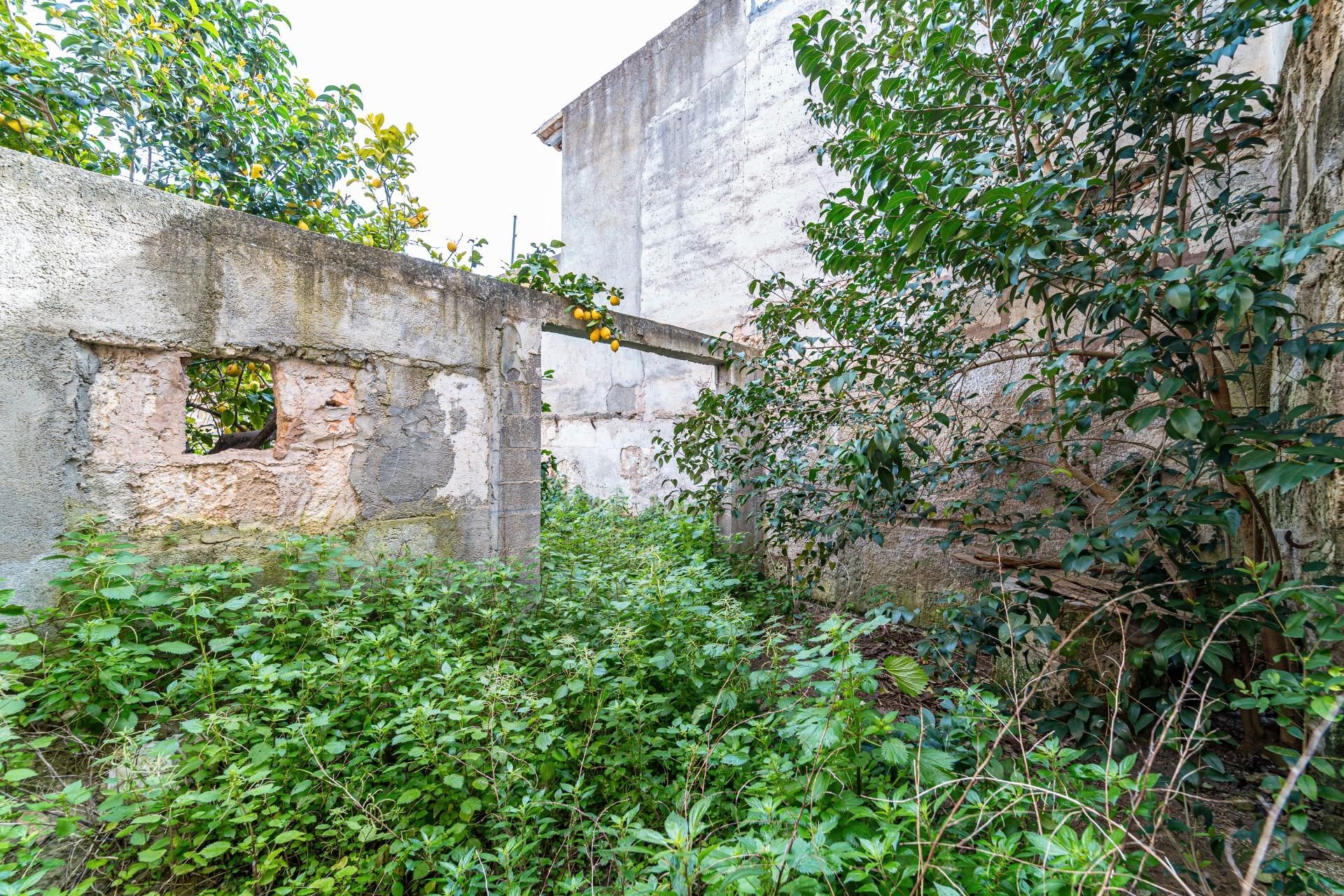 Land for sale in Felanitx