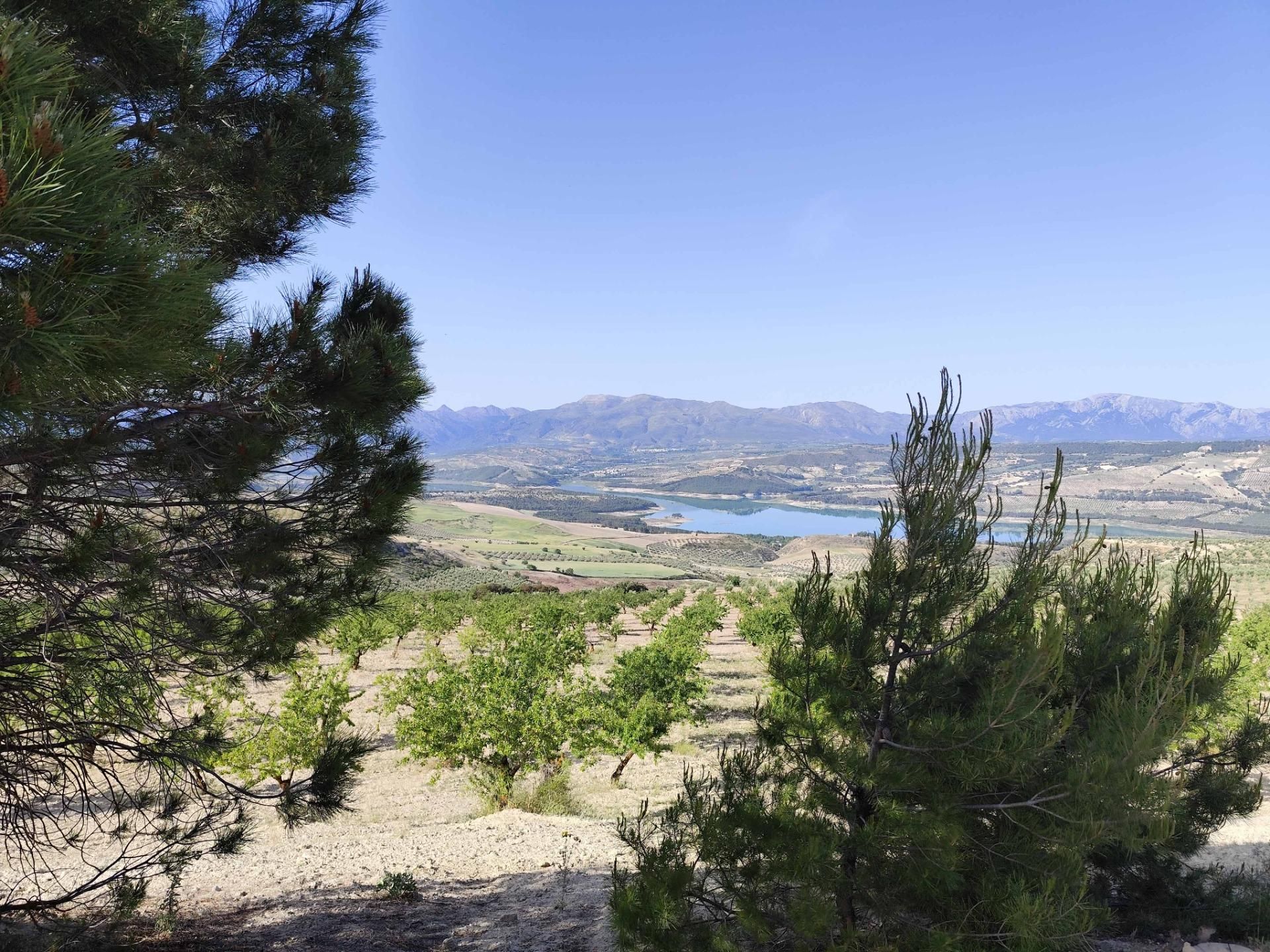 Land for sale in Arenas del Rey