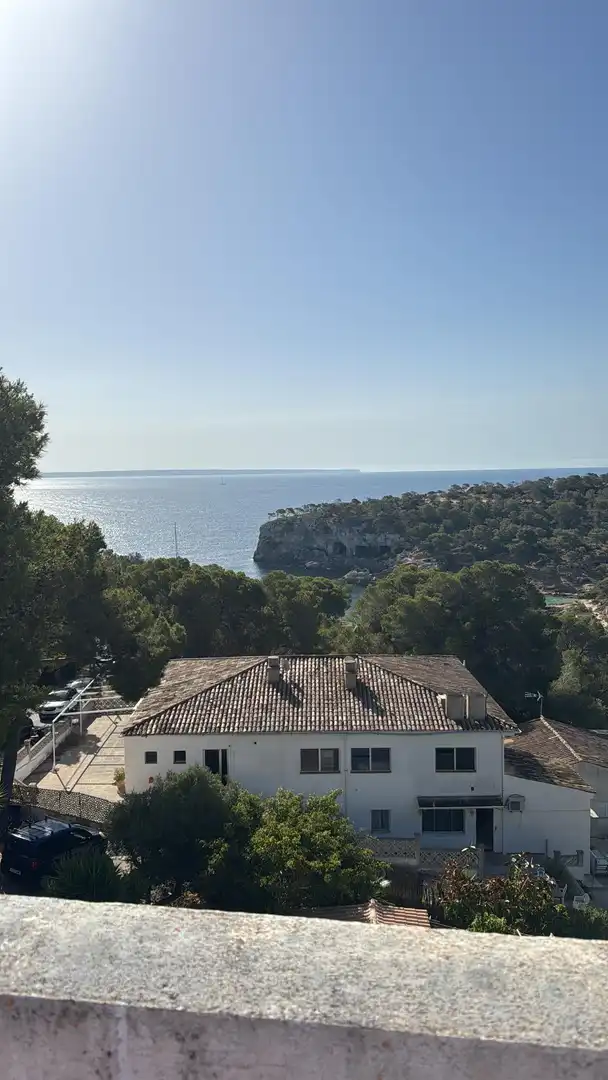 Vista exterior de Apartamento en venta en Calvià con Aire acondicionado, Terraza y Amueblado