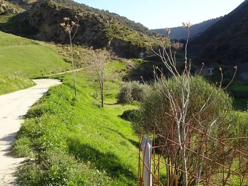 Landhaus zum Verkauf in Monachil pueblo, imagen 4