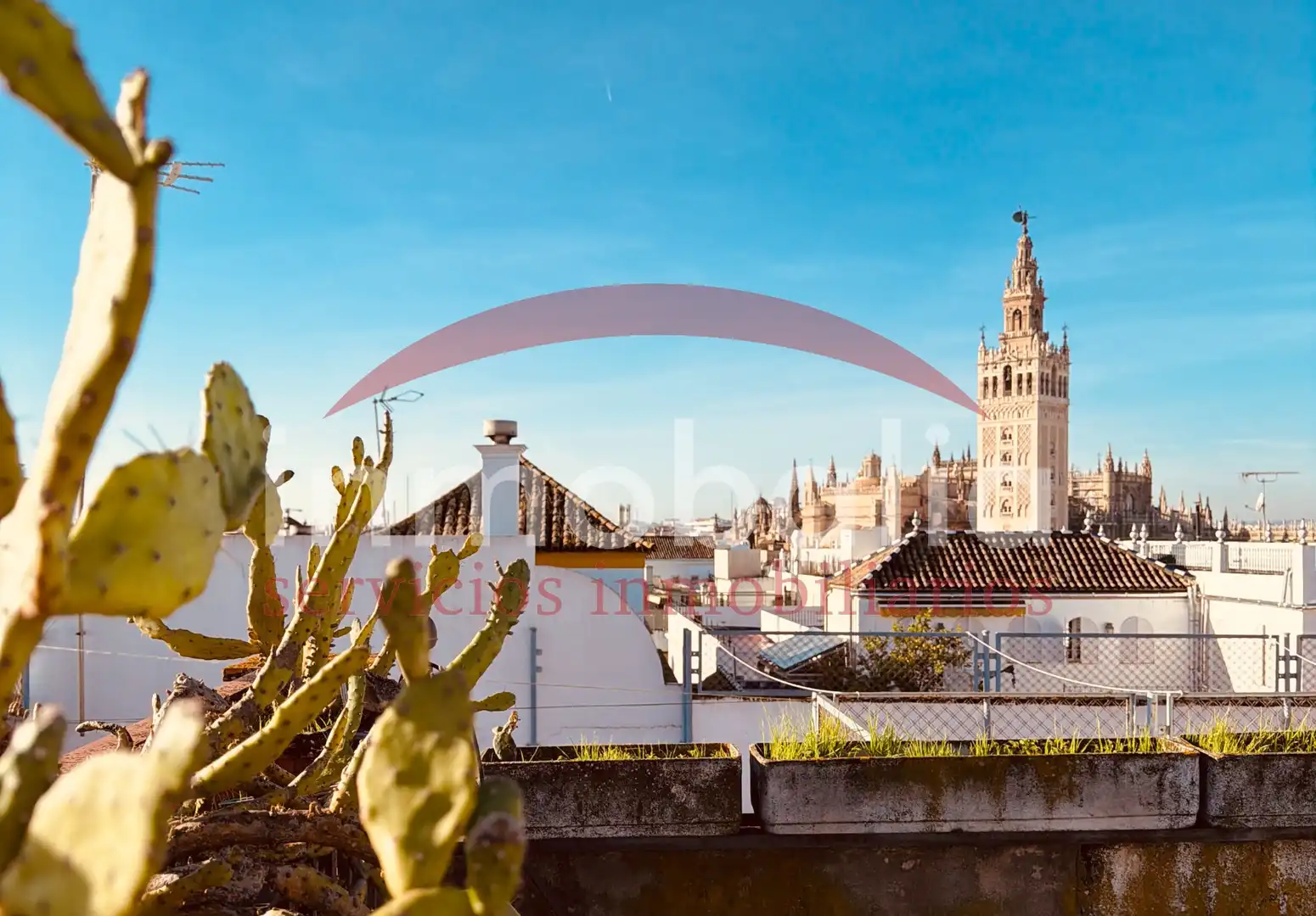 Exterior view of Houses for sale in Sevilla