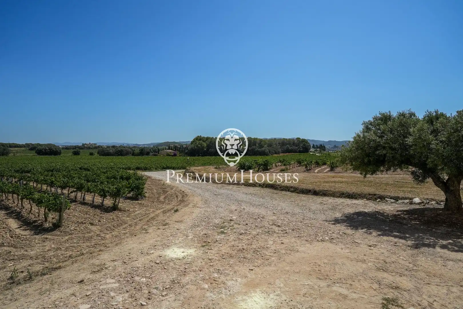 Casa rustica con terrazza in vendita a Castellet i la Gornal, imagen 34
