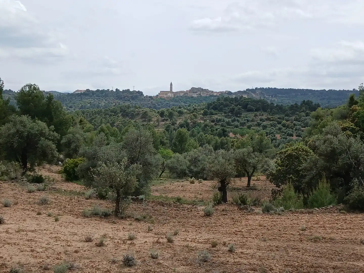 Terreni e lotti in vendita a Fórnoles, imagen 8