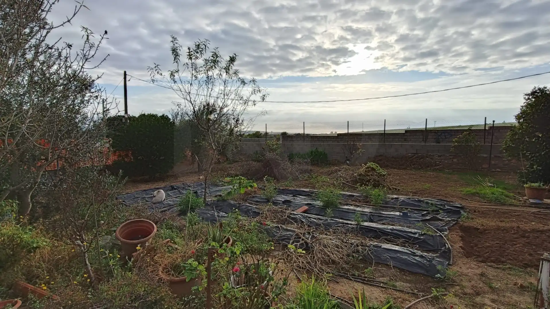 Terrenys i solars en venda a Nord, imagen 15