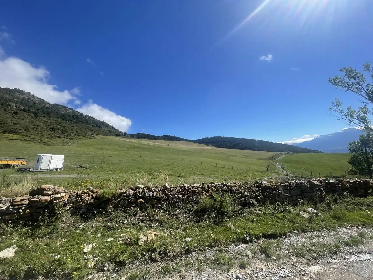 Terreny rústic en venda a La Bastida, imagen 9