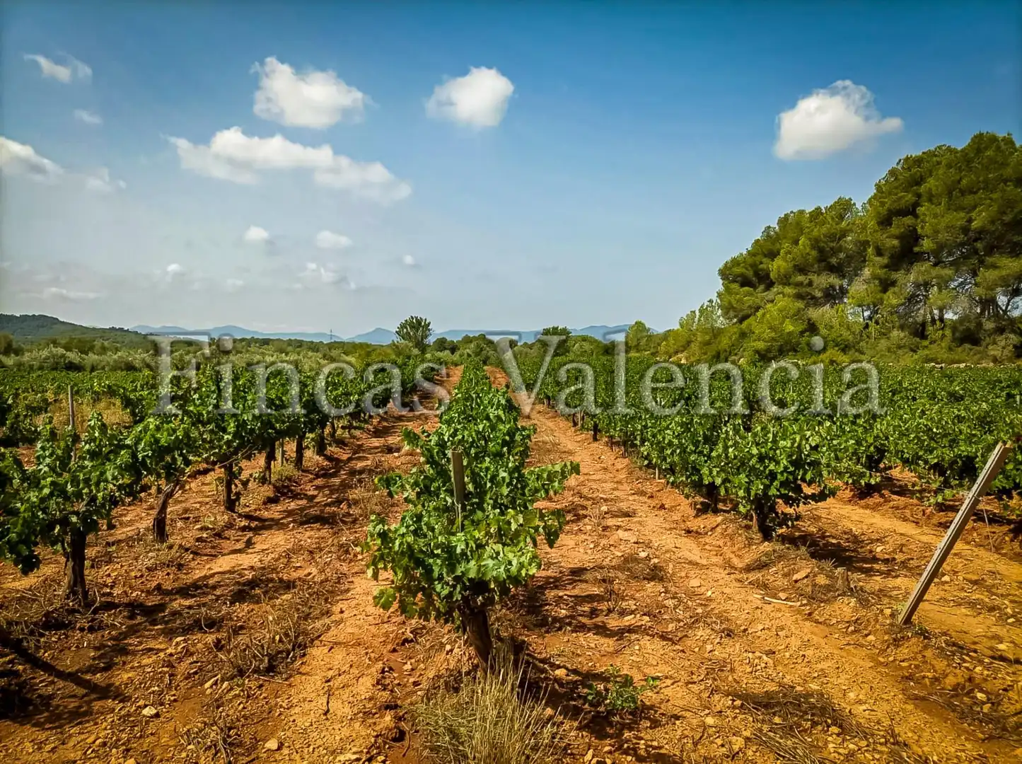 Country homes for sale in Calle SONEJA, Azuébar