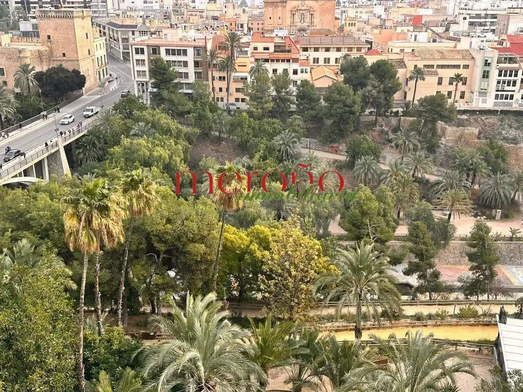 Pis amb terrassa en venda a Elche ciudad
