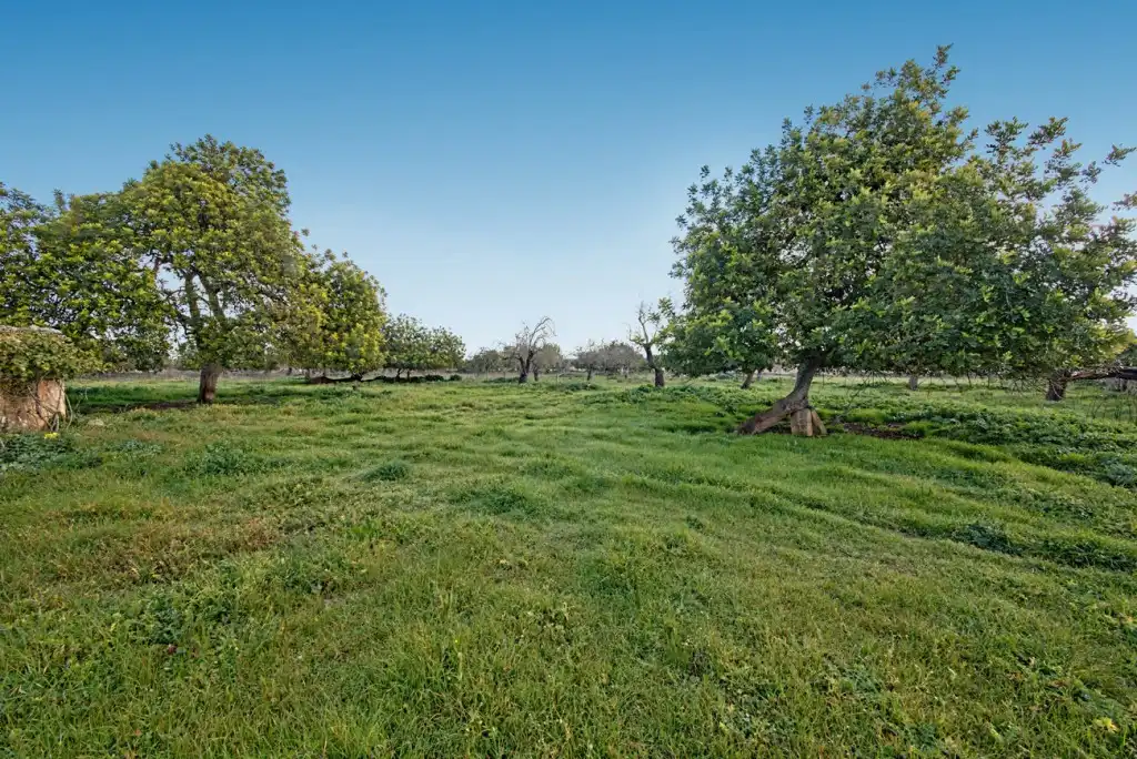 Maison rustique à vendre à Maria de la Salut, imagen 7