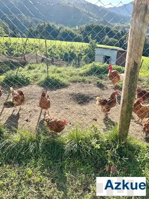 Jardín de Casa o chalet en venta en Zestoa