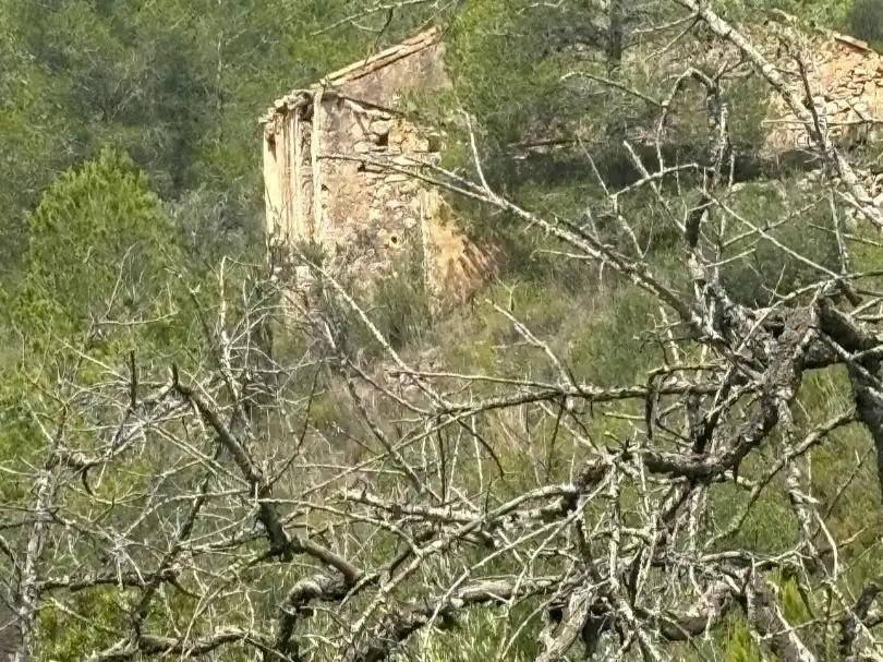 Vista exterior de Terreno en venta en Tivissa