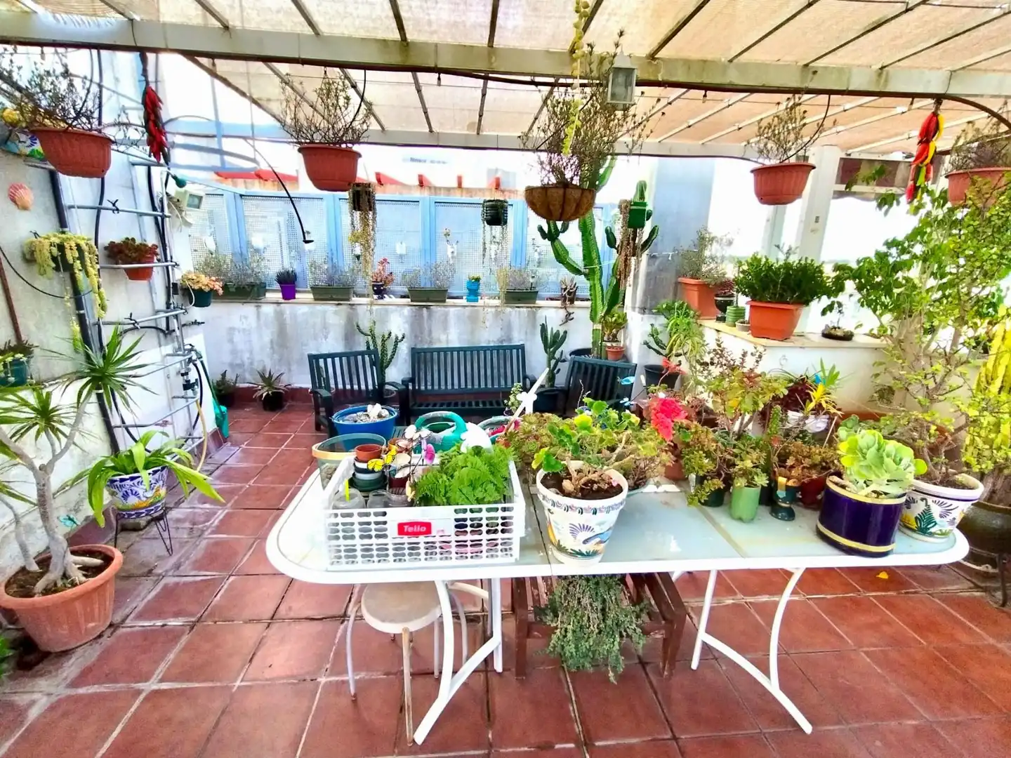 Terrace of Attic for sale in Puerto Real  with Terrace, Storage room and Alarm