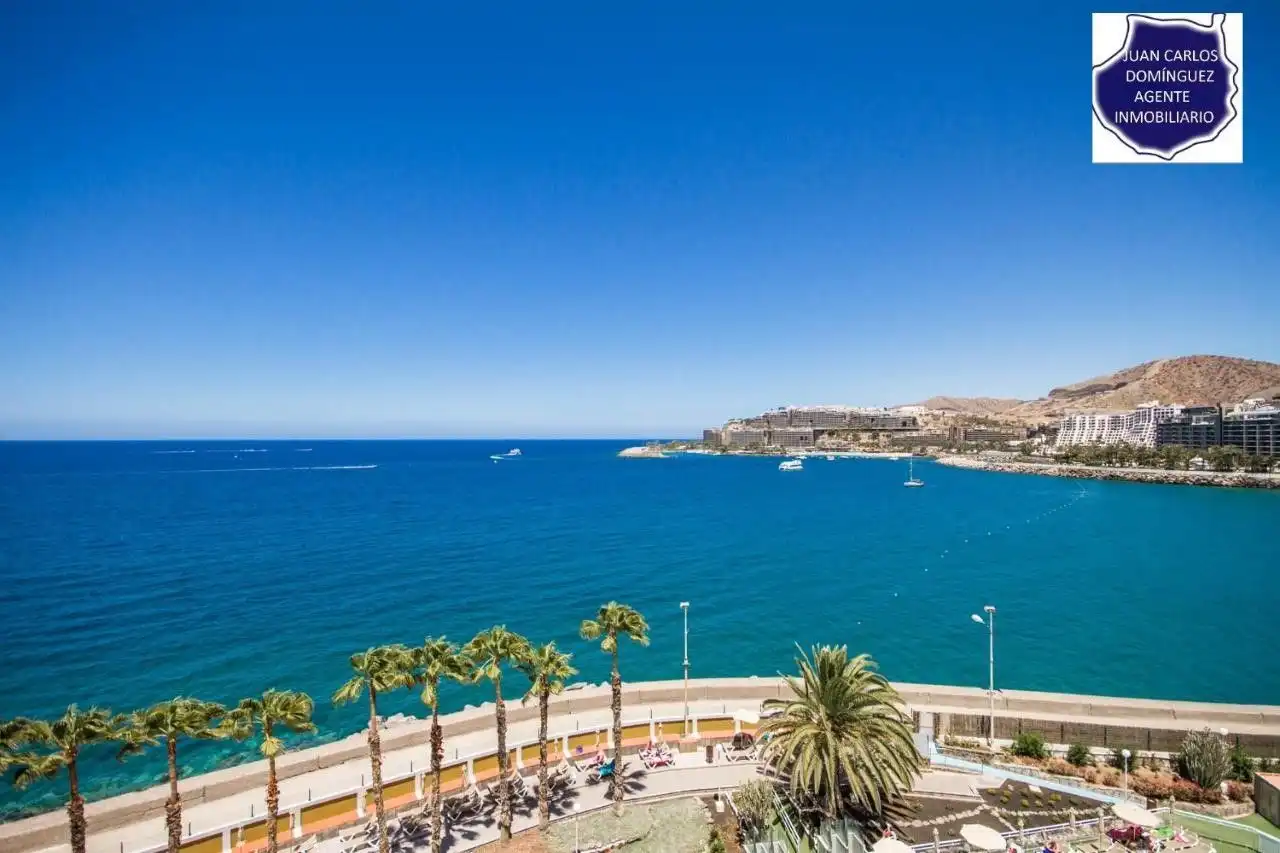 Exterior view of Apartments for rent in Mogán  with Terrace, Furnished and Community pool