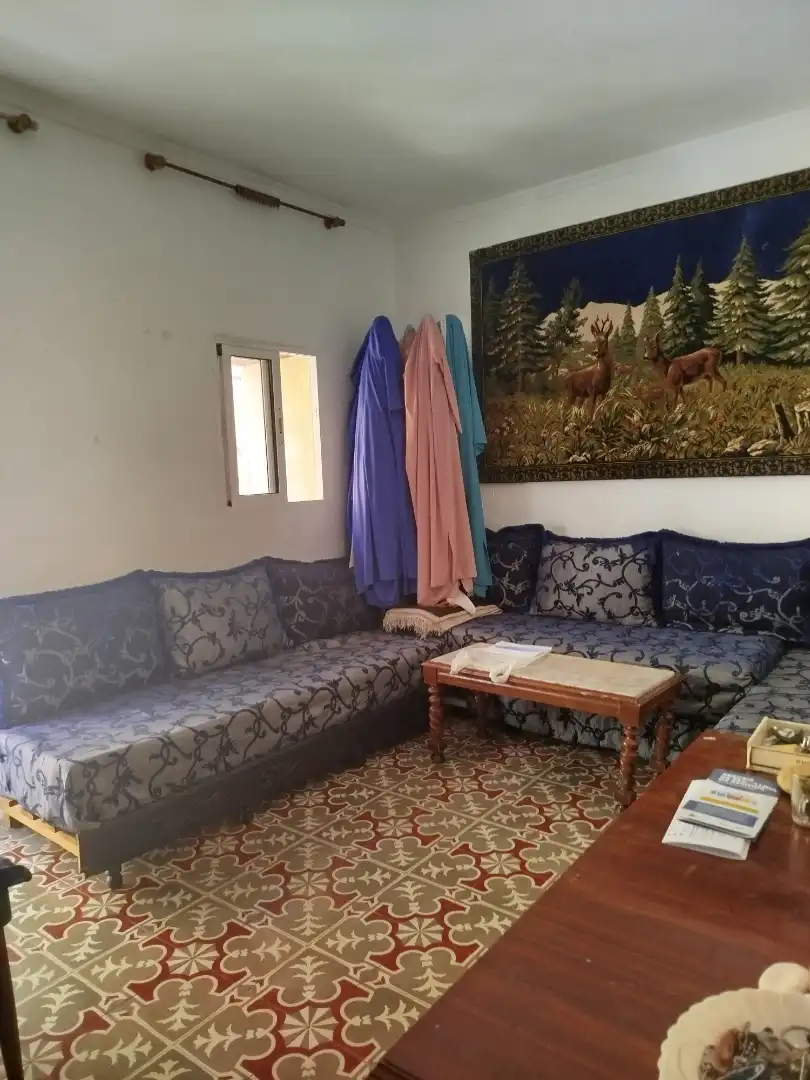 Living room of Detached homes for sale in Benicarló  with Furnished