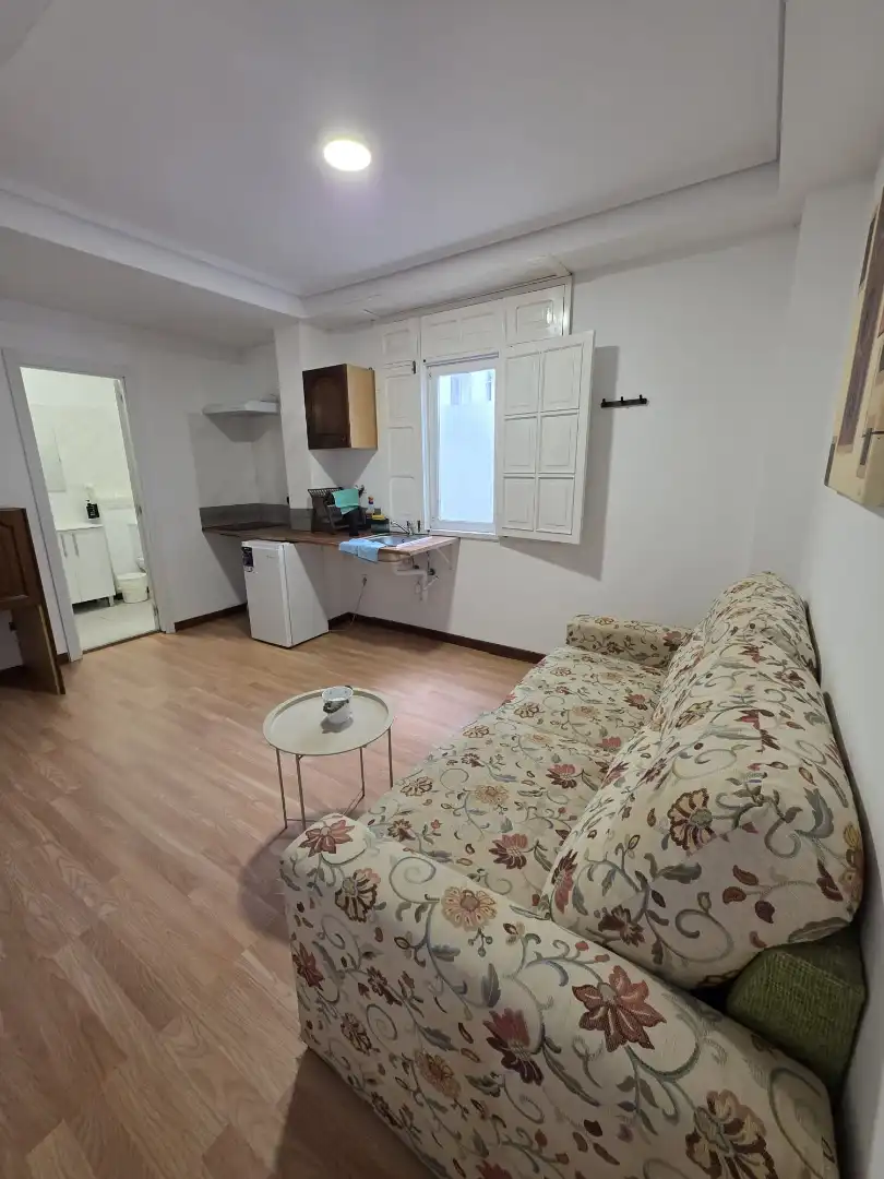 Sala d'estar de Estudi de lloguer en Narón amb Moblat i Es permeten mascotes