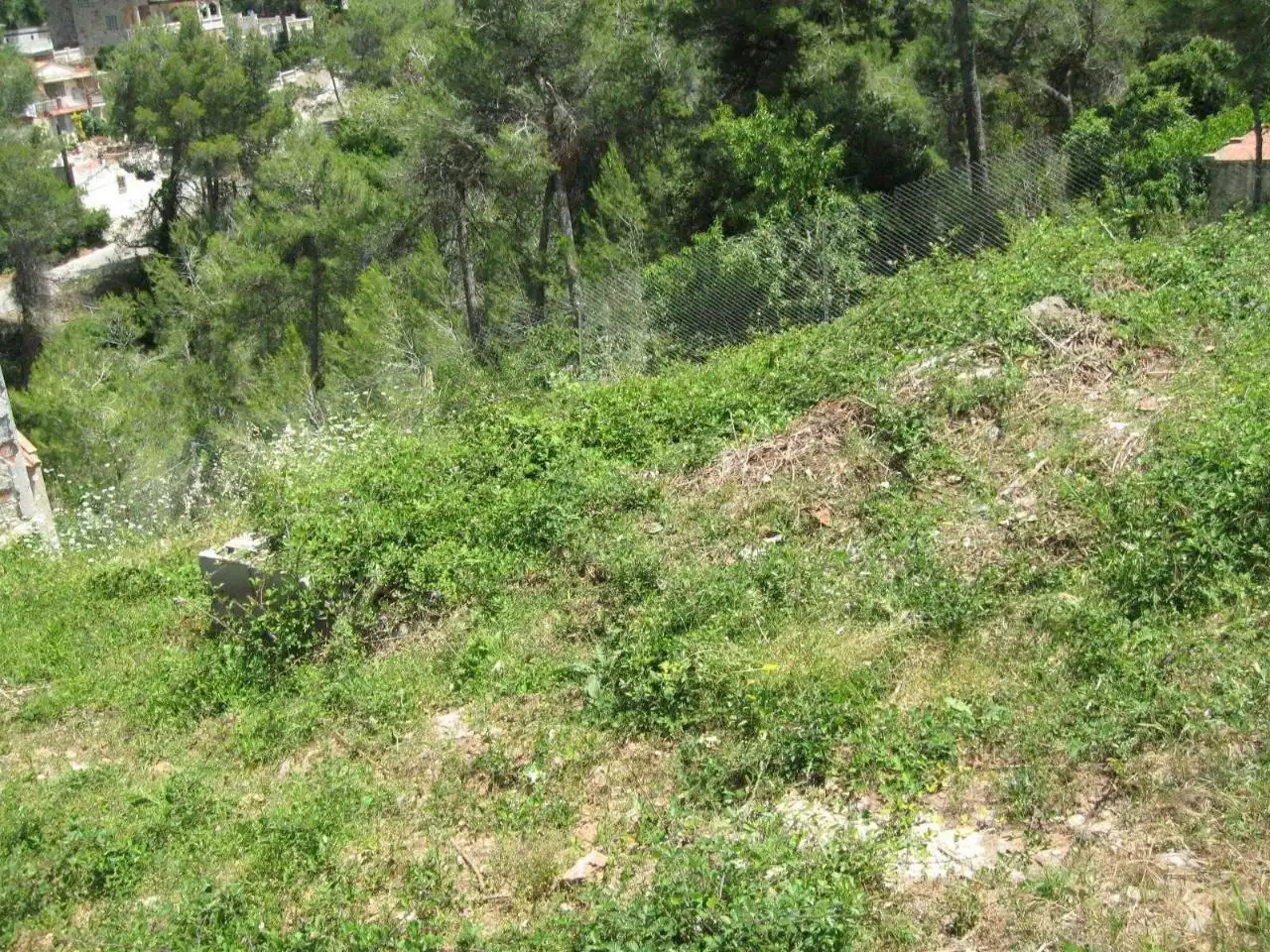 Terreny residencial en venda a Avinguda Olesa de Bonesvalls, imagen 4