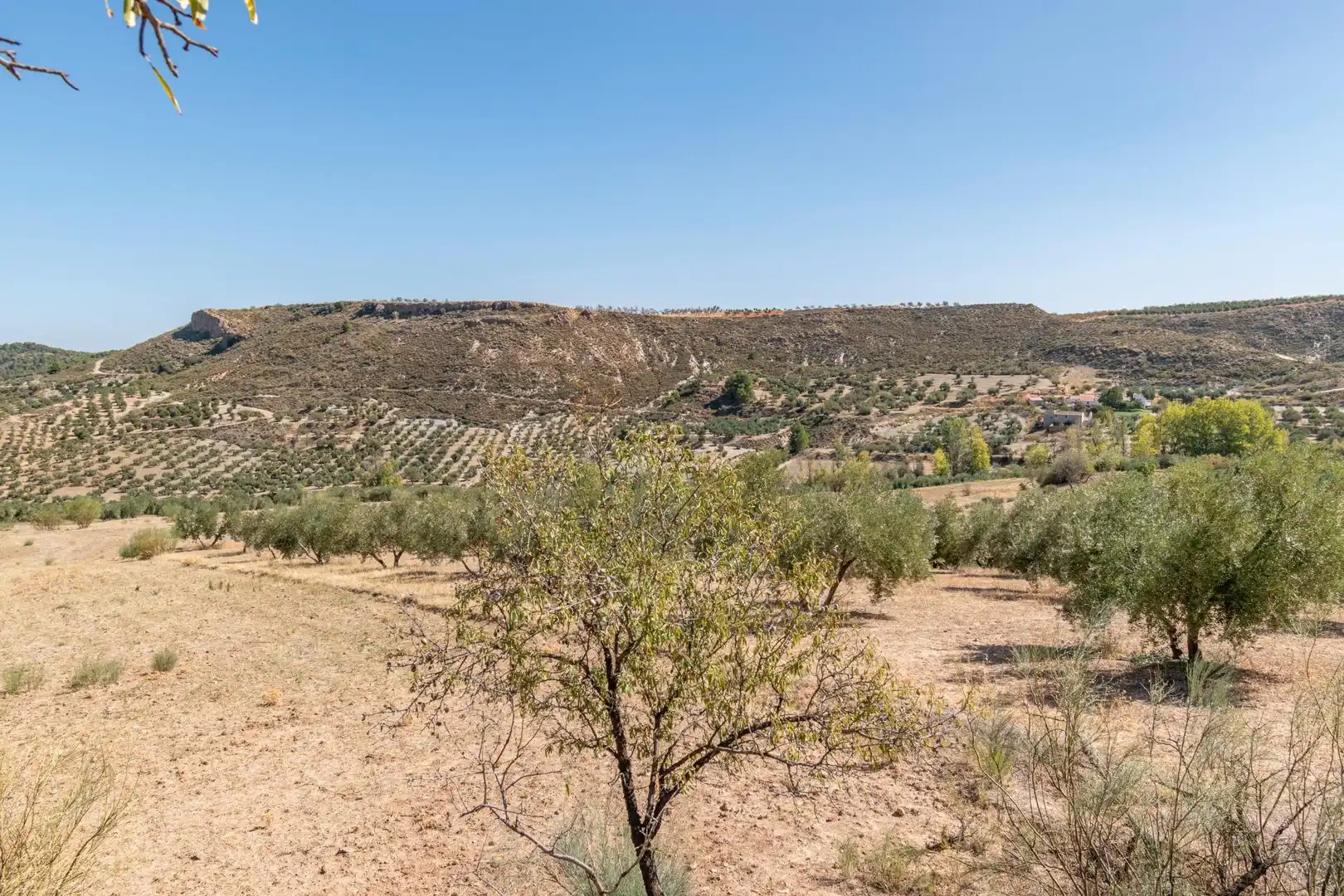 Finca rústica en venta en Vereda morollon, La Peza