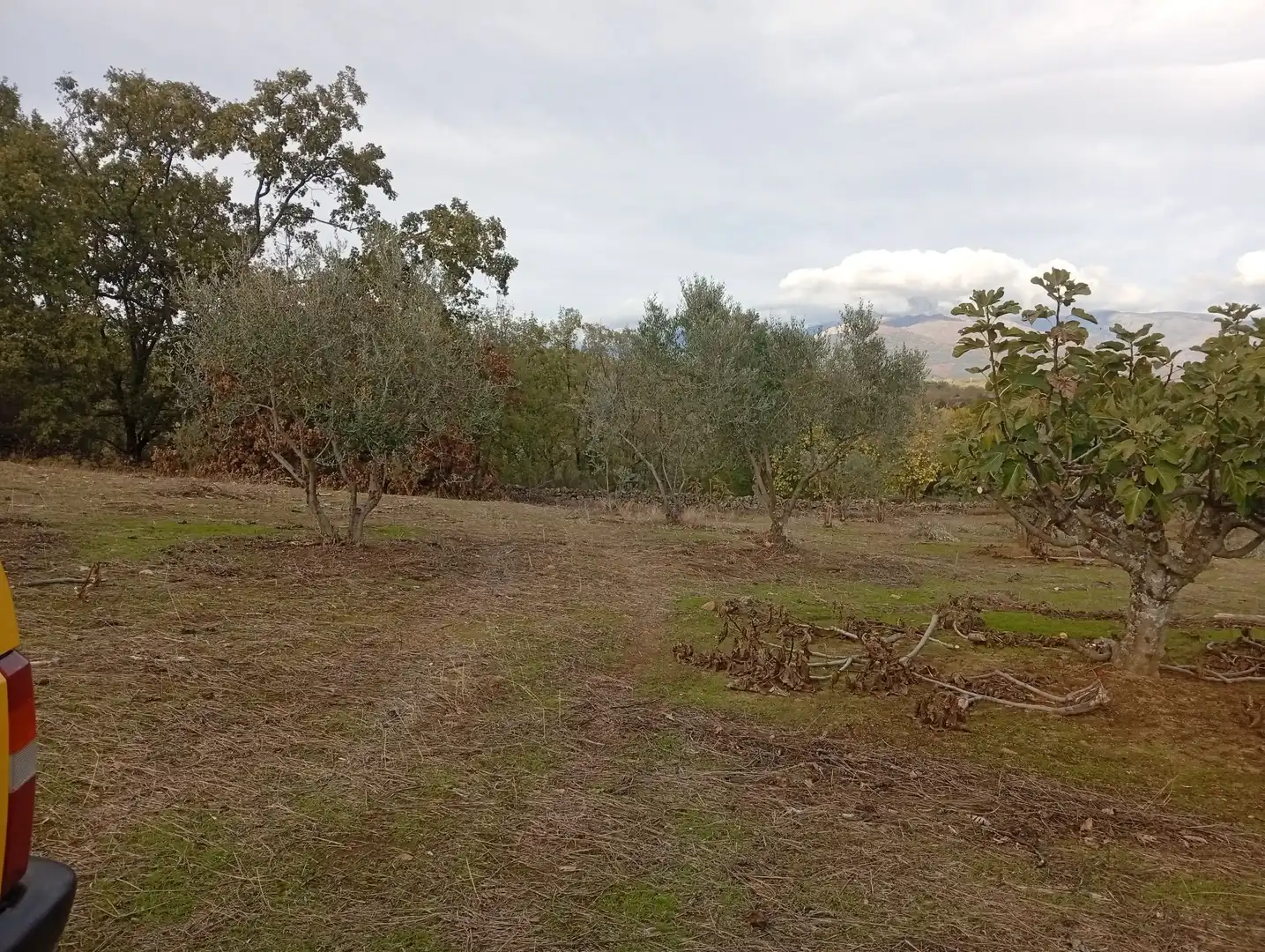 Terreni e lotti in vendita a Villanueva de la Vera, imagen 67