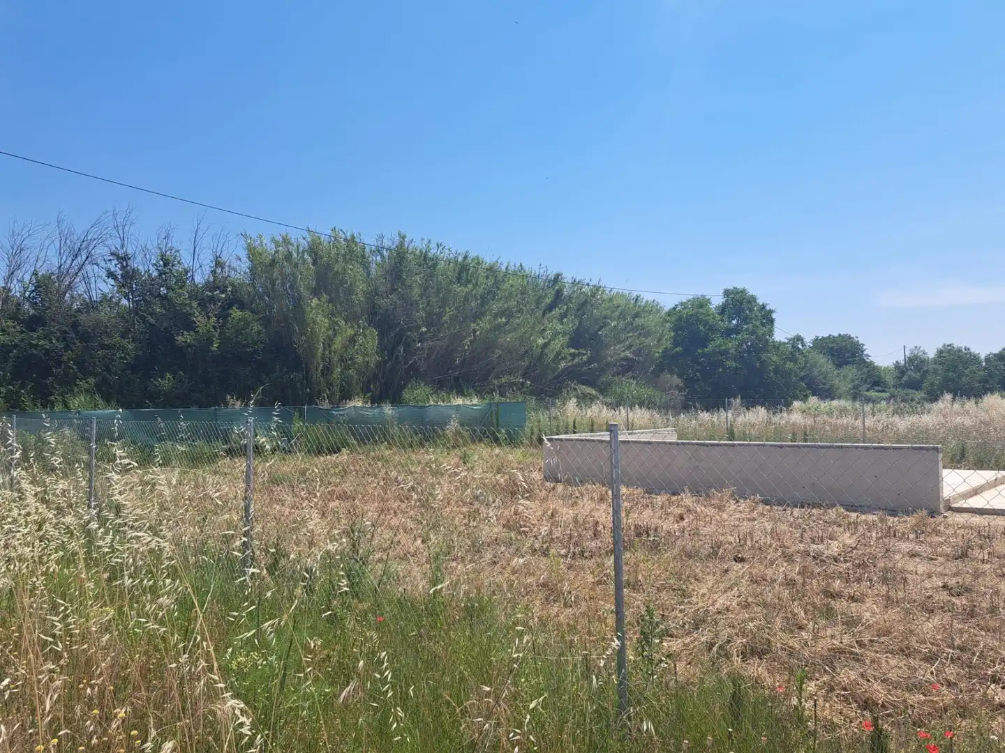 Casa o xalet en venda en Requena