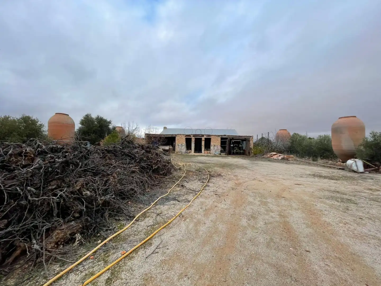 Lands and plots for sale in Valdepeñas, imagen 6