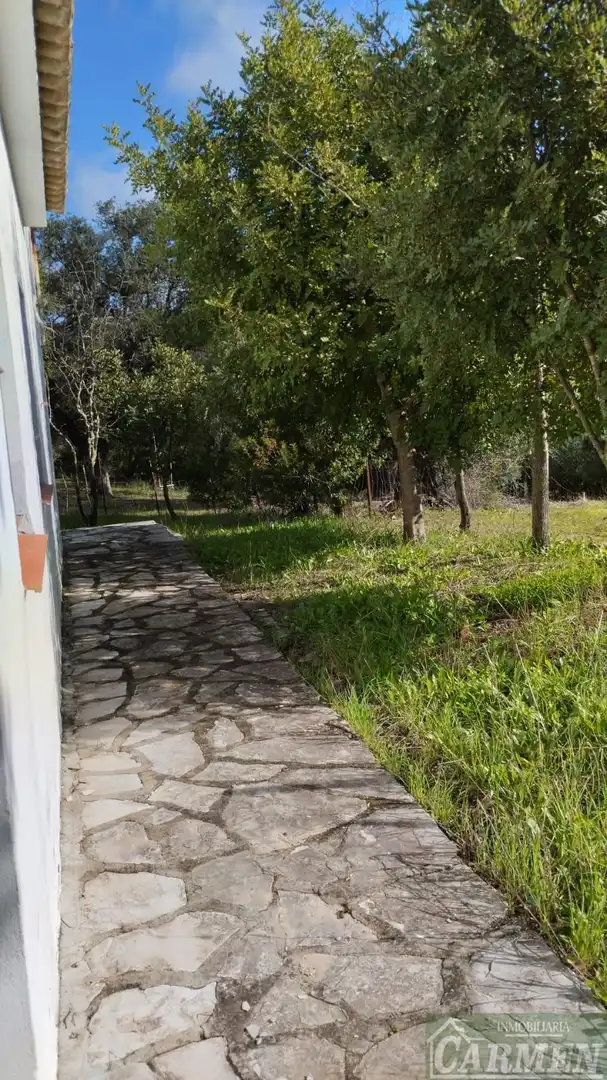 Finca rústica en venda en El Bosque