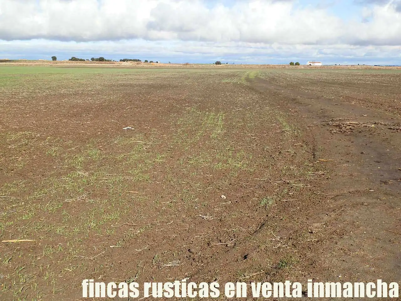 Terreni e lotti in vendita a Las Mesas, imagen 6