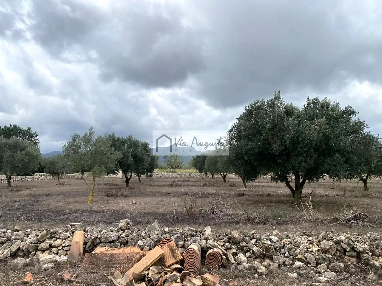 Terreno rustico in vendita a Burga, imagen 27