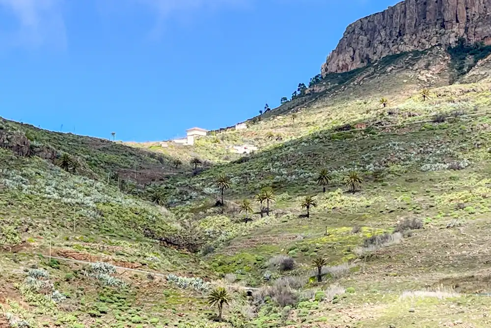 Vista exterior de Finca rústica en venda en Vallehermoso