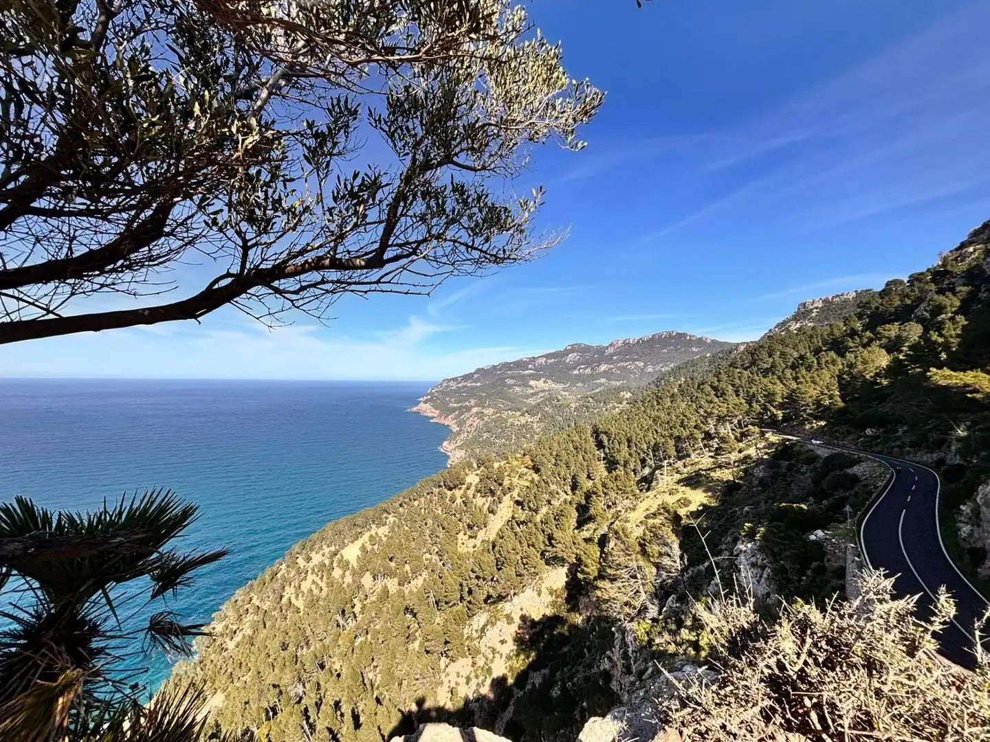 Land for sale in Estellencs