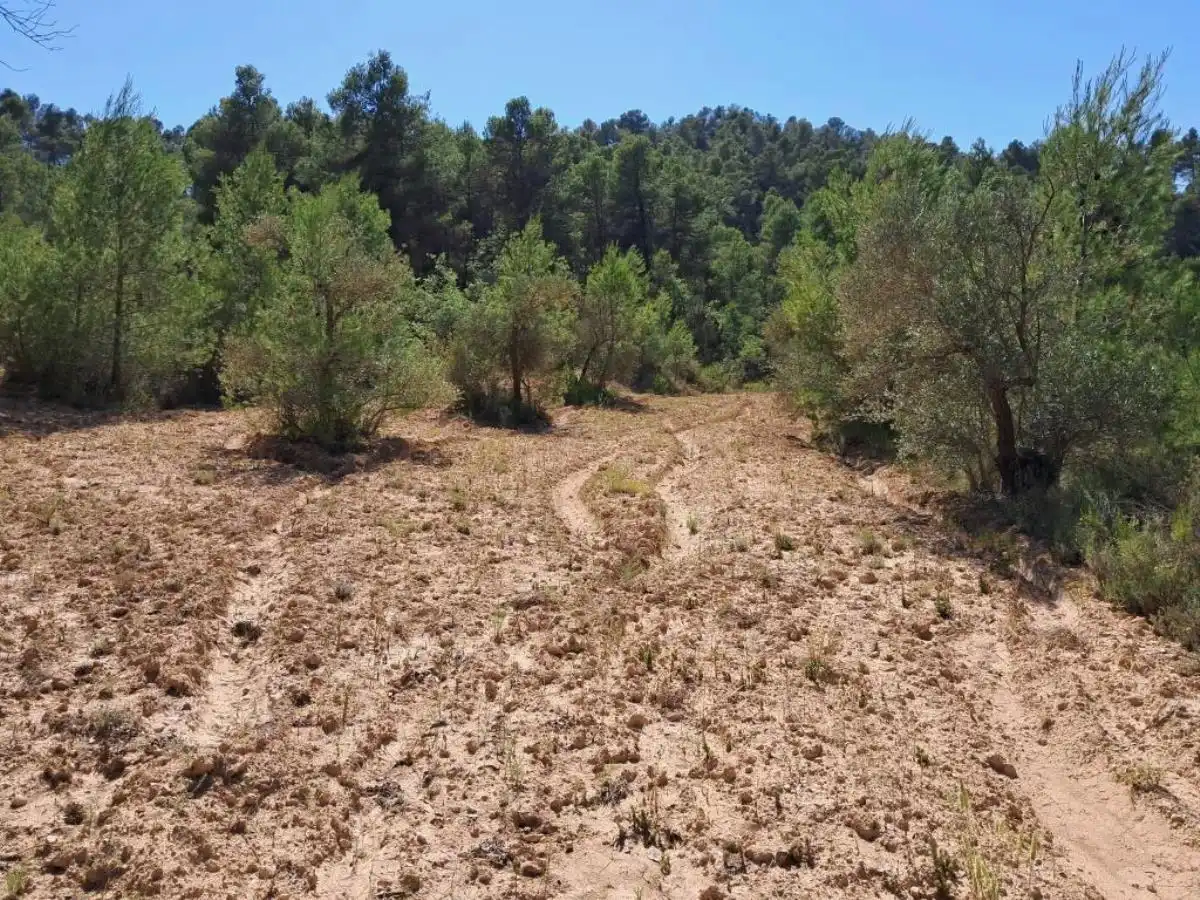 Terreni e lotti in vendita a Cretas, imagen 9