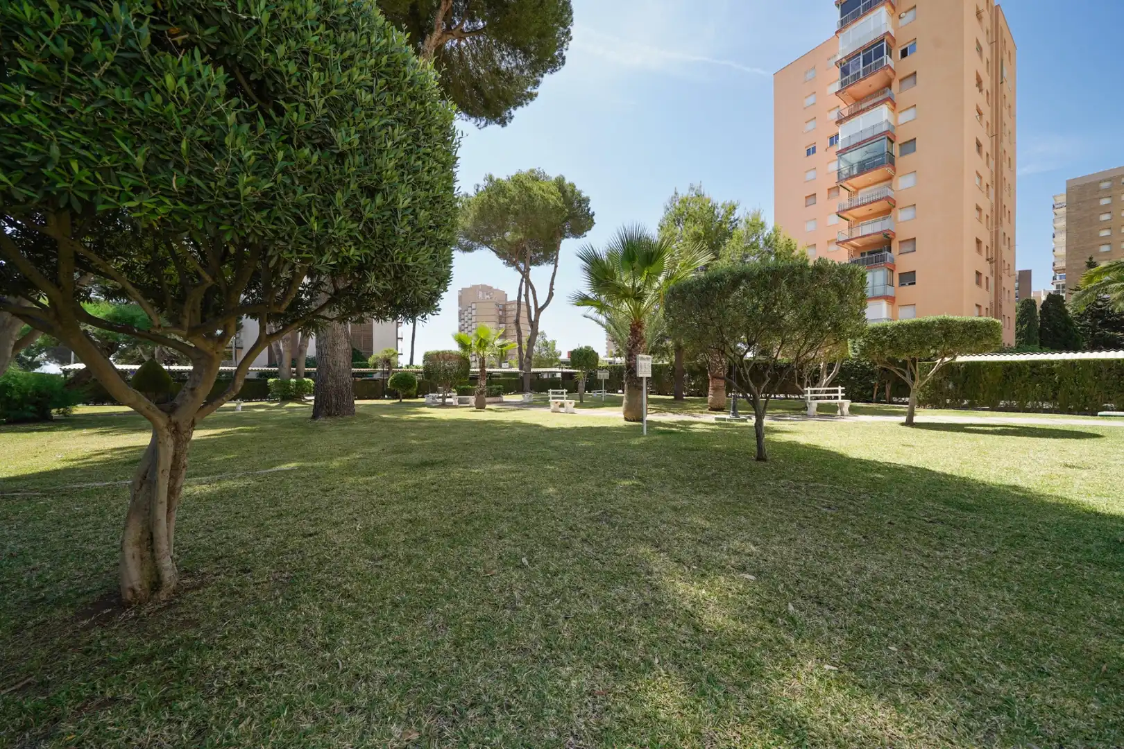 Wohnung zur Miete in Campoamor
