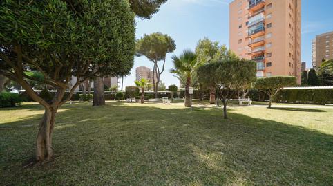 Foto 2 de Estudi de lloguer a Campoamor, Orihuela