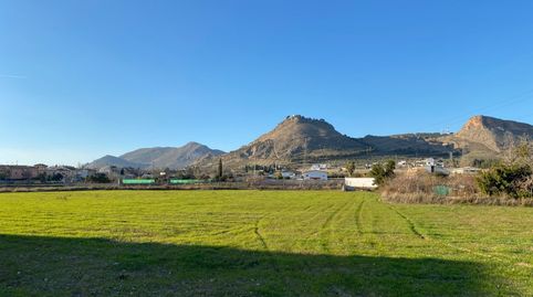 VENTA DE TERRENO RUSTICO URBANIZABLE  DEL TERMINO MUNICIPAL DE ATARFE EN EL CAMINO DE ALBOLOTE