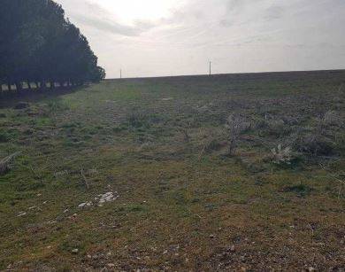 Terreno residencial en Venta en San Vicente del Palacio