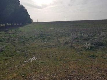 Terreni e lotti in vendita a San Vicente del Palacio