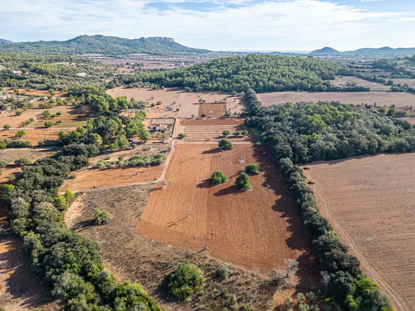 Wohnbaugrundstück zum Verkauf in Felanitx Poble, imagen 20