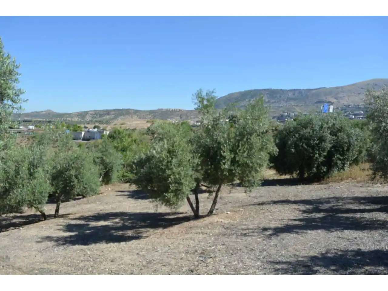 Lands and plots for sale in Plaza Iglesia 1, imagen 6