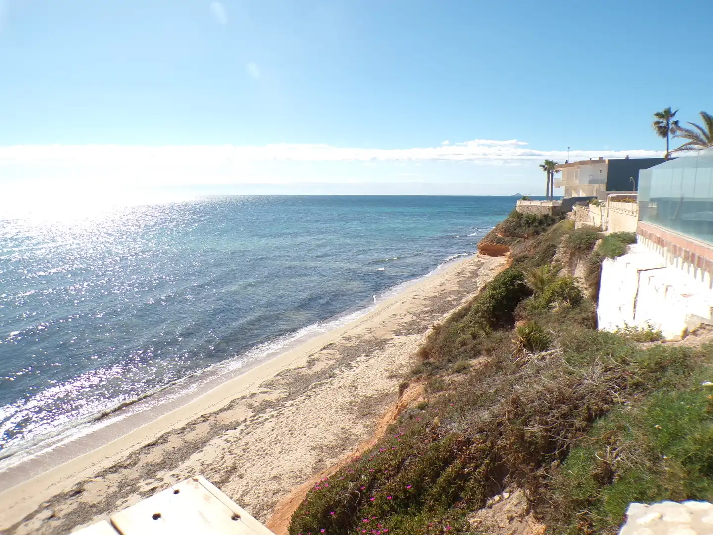 Casa o chalet en venta en Calle Antonio Aguado, 39, Torre de la Horadada