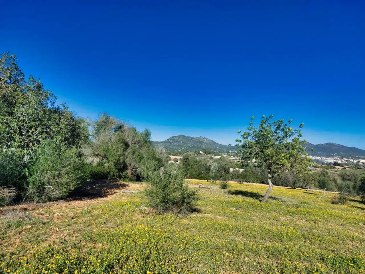 Rural land for sale in Poligono 5 723, imagen 55