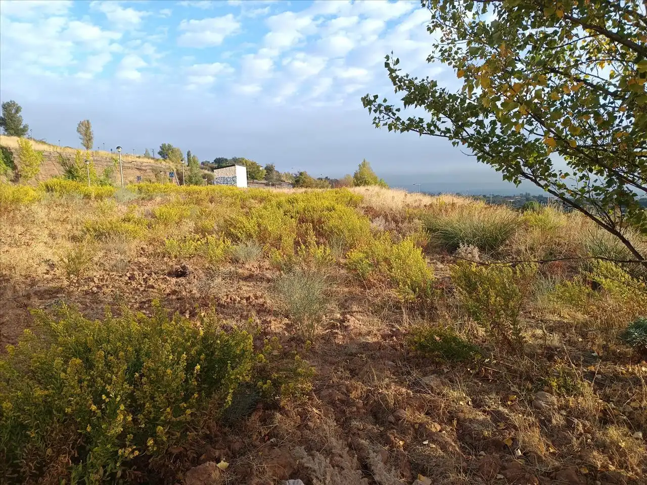 Terreni e lotti in vendita a Velilla, imagen 6