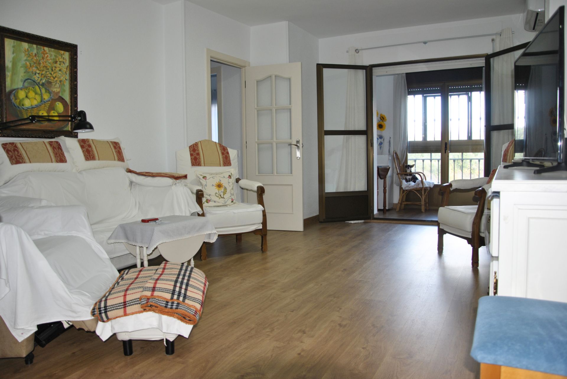 Sala d'estar de Pis en venda en Coria amb Aire condicionat, Calefacció i Parquet