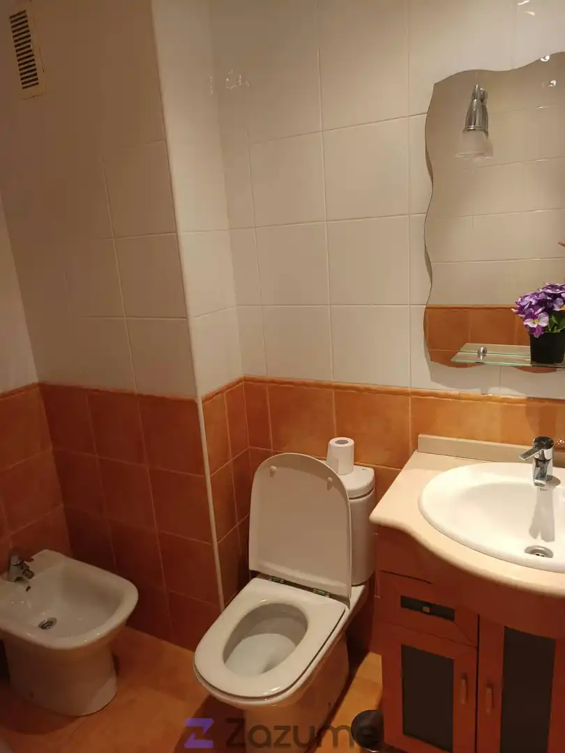 Flat with lift to rent in Av de Galicia, imagen 18
