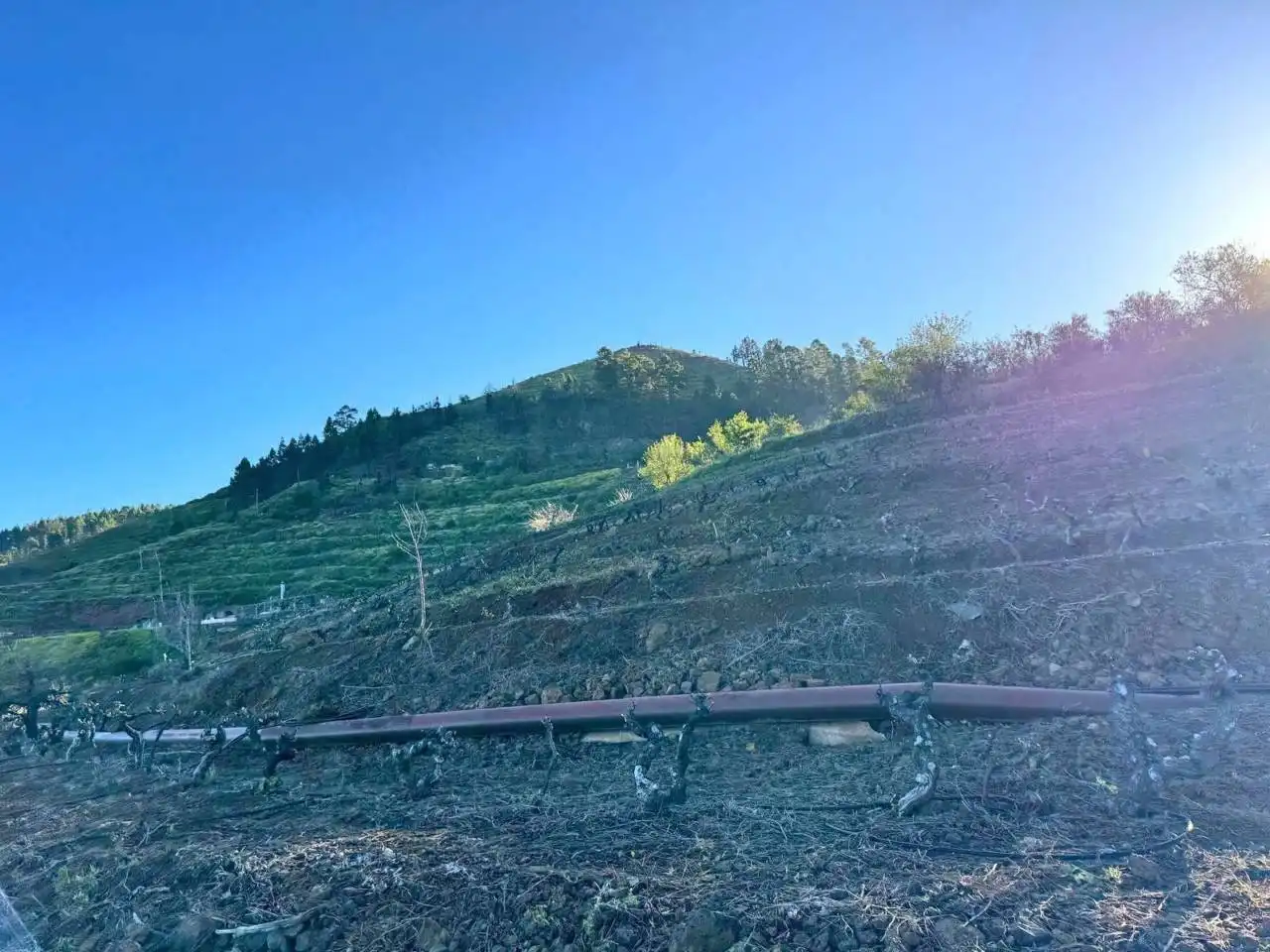 Rural land for sale in N/A, imagen 10